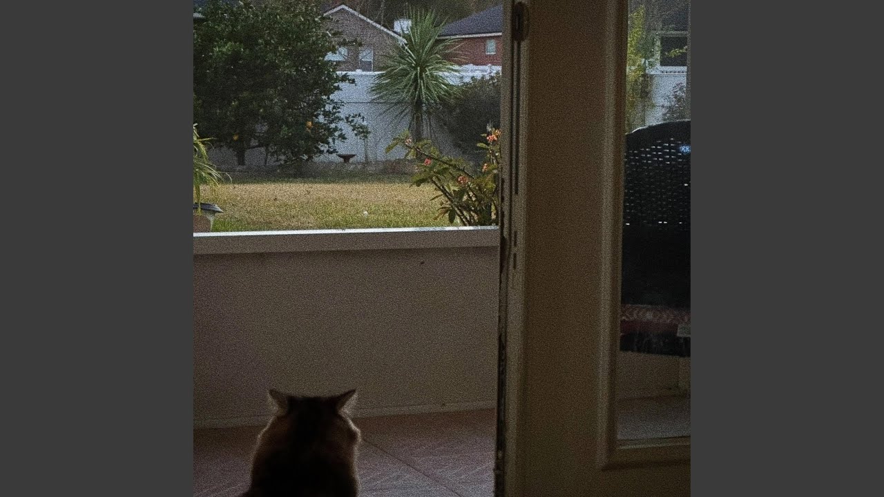 Escape the simulation