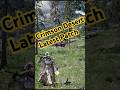 Crimson Desert Latest Patch #crimsondesert