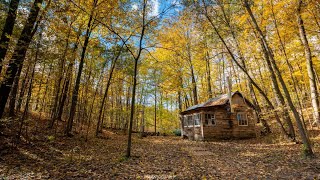 This Rock Stars Abandoned Cabin in the Woods is now an AirBNB and VRBO Rental by Freaktography 2,161 views 1 month ago 5 minutes, 28 seconds