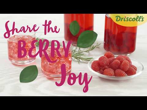 raspberry-infused-vodka-recipe---driscoll's