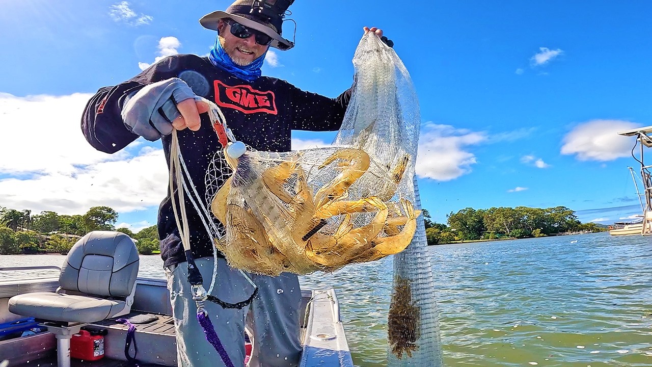 The Big Bay Prawns are ON! Netting & Cooking the most Sought-After Seafood!