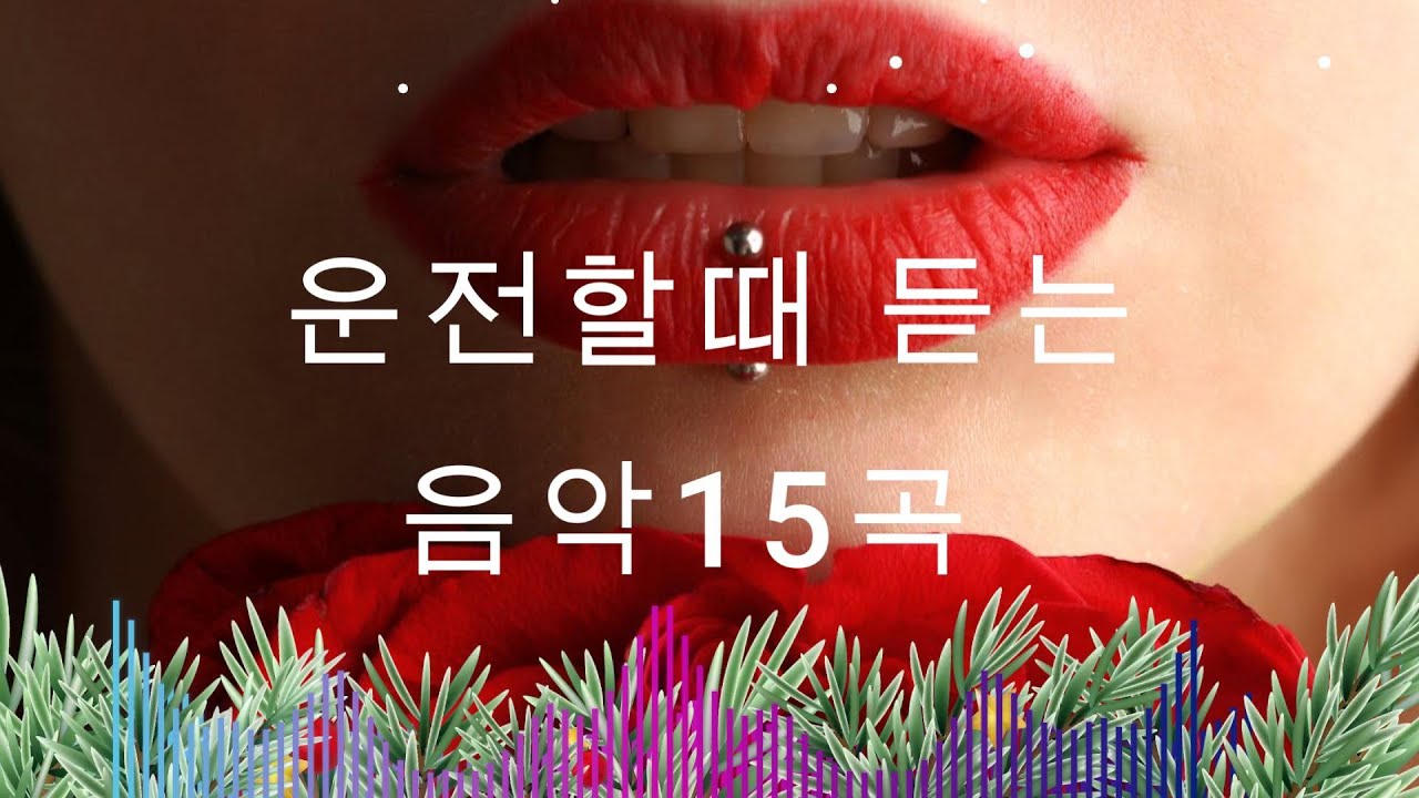 [고음질] 레게와 탱고의 조화. 중년이 되니 이런 음악이 좋다