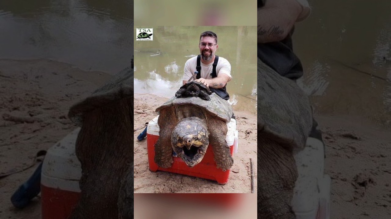 Things that are bigger than you think part 10