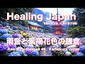 The Beauty of Japan in the Rain: Kamakura Zen & Rain Sounds