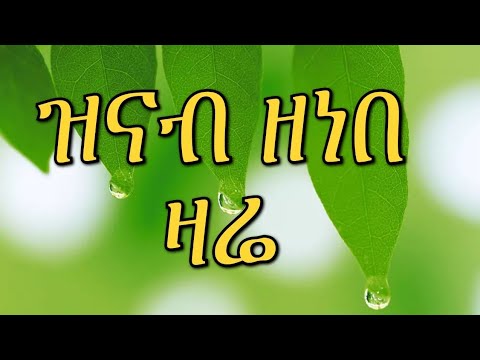ዝናብ ዘነበ ዛሬ