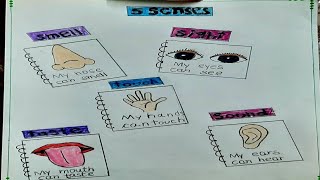 Class 2 - Holiday homework- 5 sense organs and work
