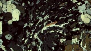 Staurolite, Crossed Polars