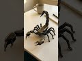 Tiny Pod Turns Into Deadly Scorpion #morphcore #shorts #ai #transformation #robotics #satisfying