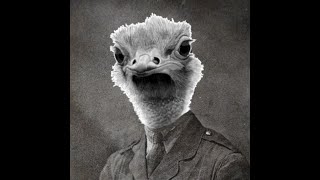 The Great Emu War Edit