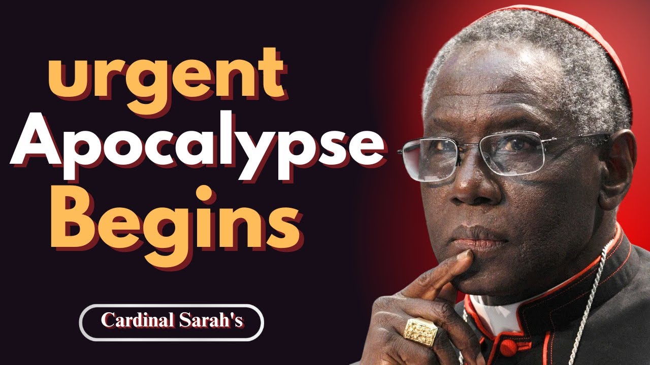 The Apocalypse Begins! || Cardinal Sarah Final Warning.