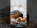 LEAVE THE OLD APPLES BEHIND