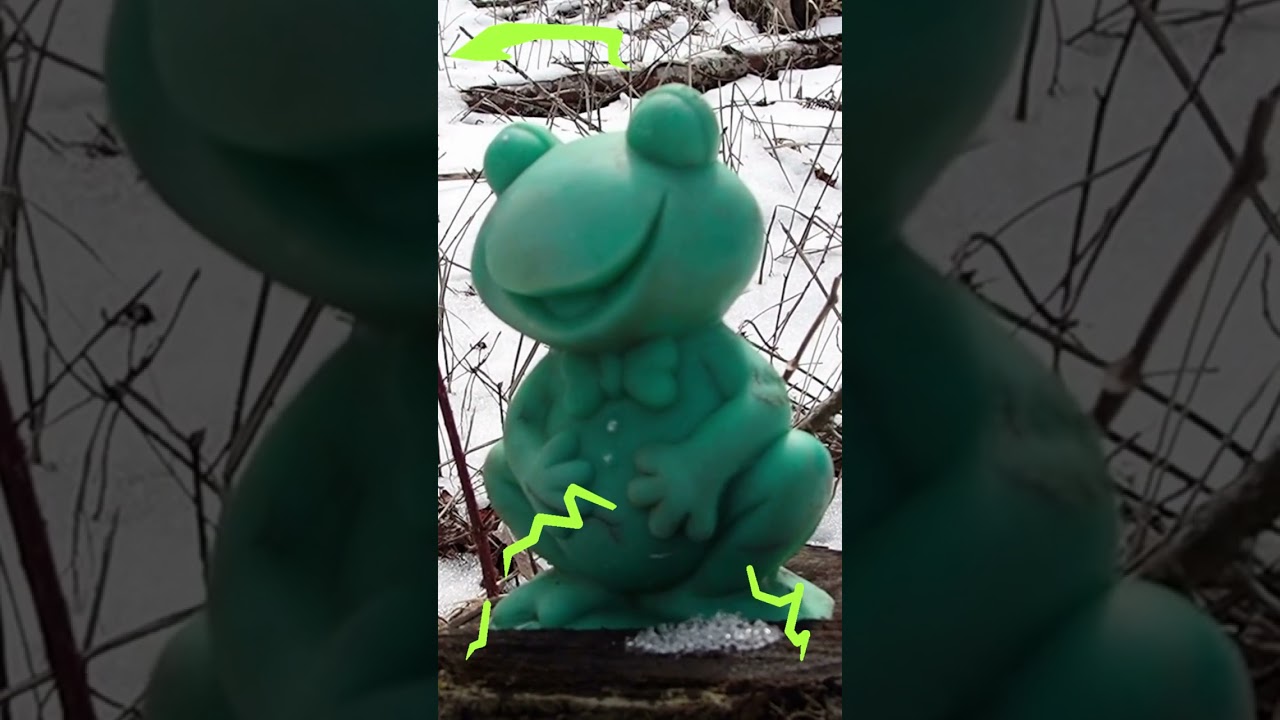 1st Frog of the YEAR! 