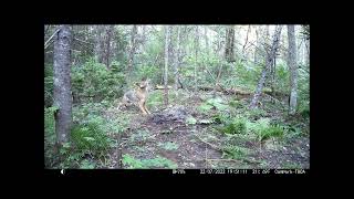 TRAPPING NOVA SCOTIA  2022/2023