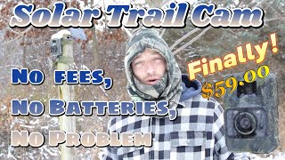 Solar Trail Camera For Cold Weather: No Apps, No Fees, No Batteries!