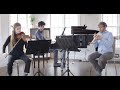 David krauss principal trumpet performs brahms horn trio in e flat major