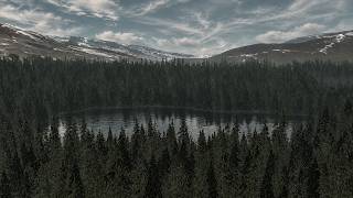 BUILDING THE MOST REALISTIC PNW WORLD IN THE SIMS 3