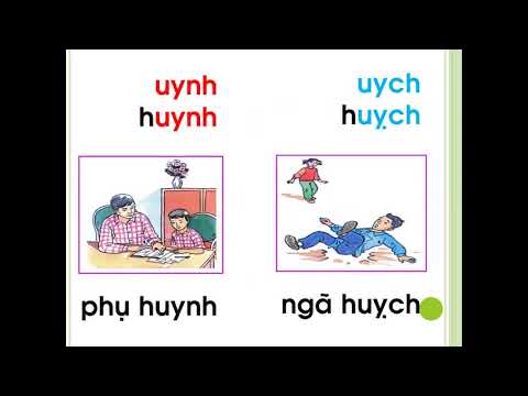 Tuan 24 - học vần lớp 1 - bài: uynh - uych