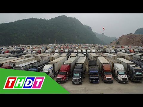 Video Lạng Sơn: Tìm cách giảm ùn ứ nông sản tại cửa khẩu |... - youtube