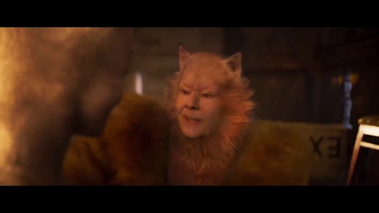 Cats Trailer With Memes (13+)