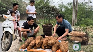 Dig porcupine quill tubers, cook and sell them, delicious tubers from the old forest