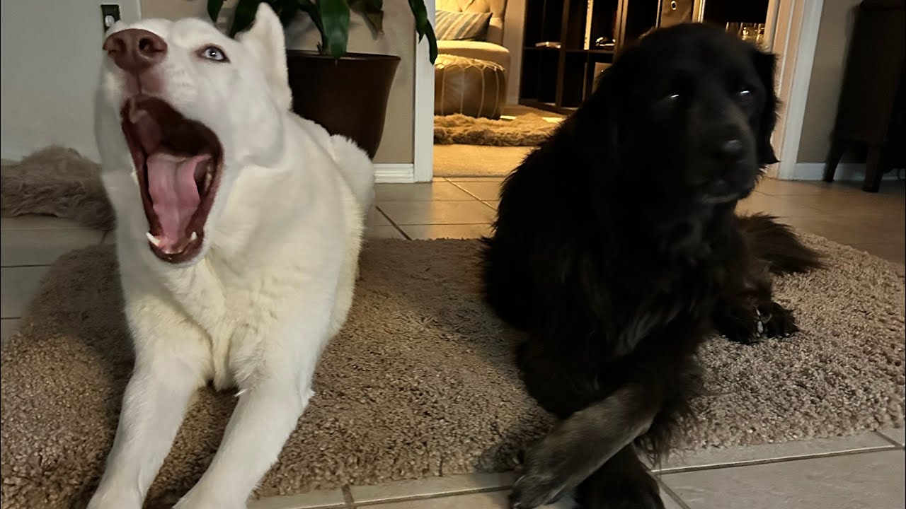 Haunted La Fonda Hotel