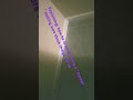 Fake prophet : do not attempt this at anytime