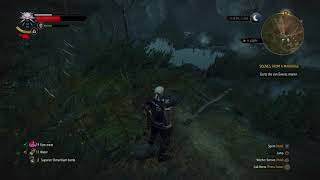 Treasure Hunt Quest The Secret Life Of Count Romilly (The Witcher 3 Wild Hunt) Playstation 4   #69