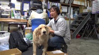 今年一年ありがとうございました：2016年を振り返ってペロペrprprp