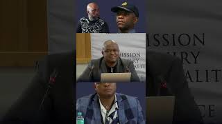 Mogotsi Questioned on Training and 2020 Crime Intelligence Role #madlangacommission