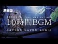 Night Forest Ambience with Owl Sounds (10 Hours) | Deep Sleep Nature Sounds 【Black Scleen】