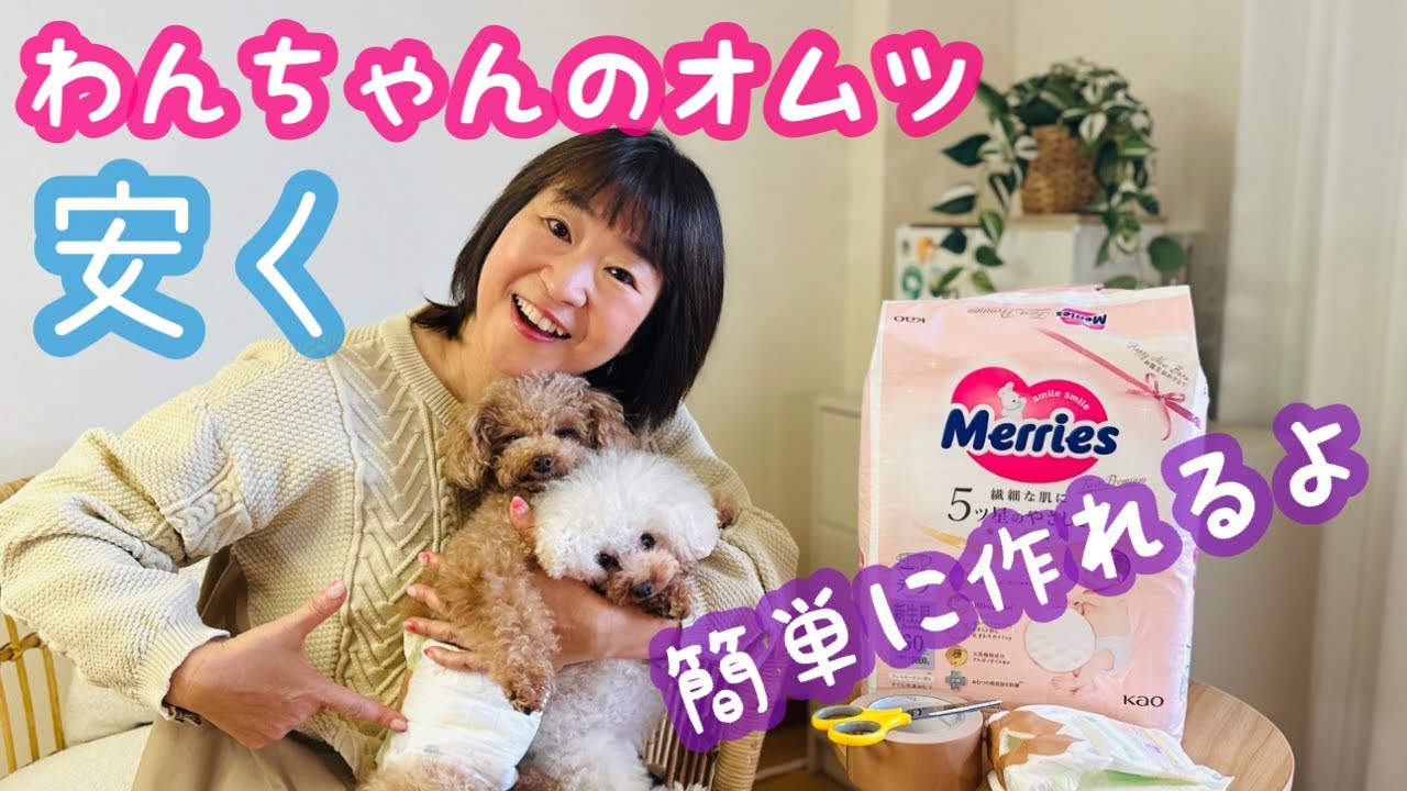 【わんちゃんのオムツ】安くて肌荒れの少ない赤ちゃん用のオムツを使ってわんちゃん用のオムツの作り方と付け方です
