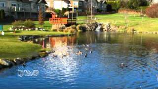 Cedar Hill Golfcourse Walk HD