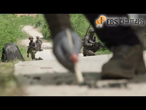 EBS 다큐프라임 - Docuprime_야생리포트 DMZ 1부- 고라니의 고백_#003