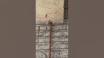 Column Jacketing
