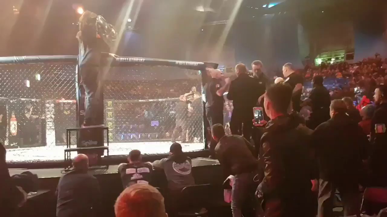 Conor Mcgregor jumps in ring Bellator 187