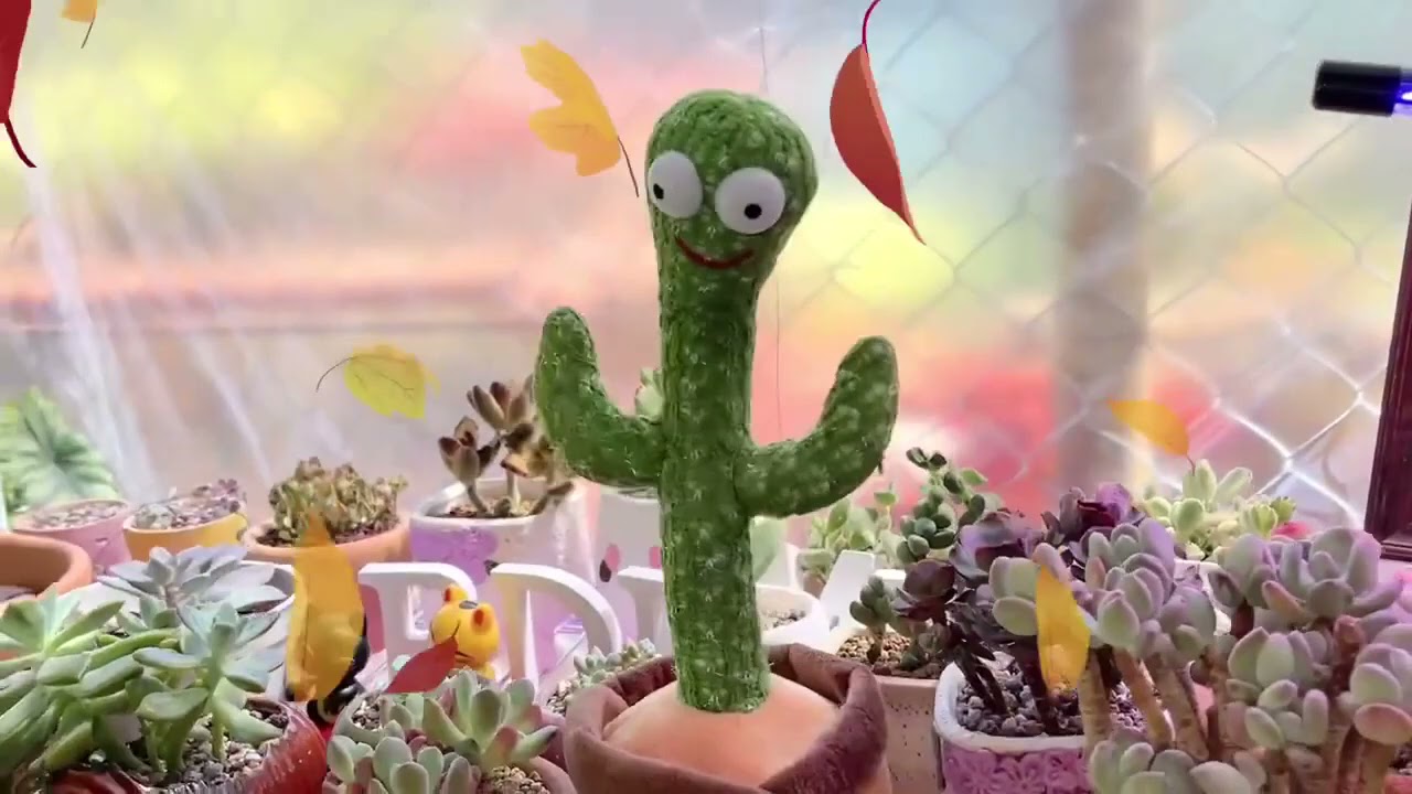 Dans Eden Sesli ve Mzikli Sevimli Saks Kakts Pelu Oyuncakmatik Toys'da!