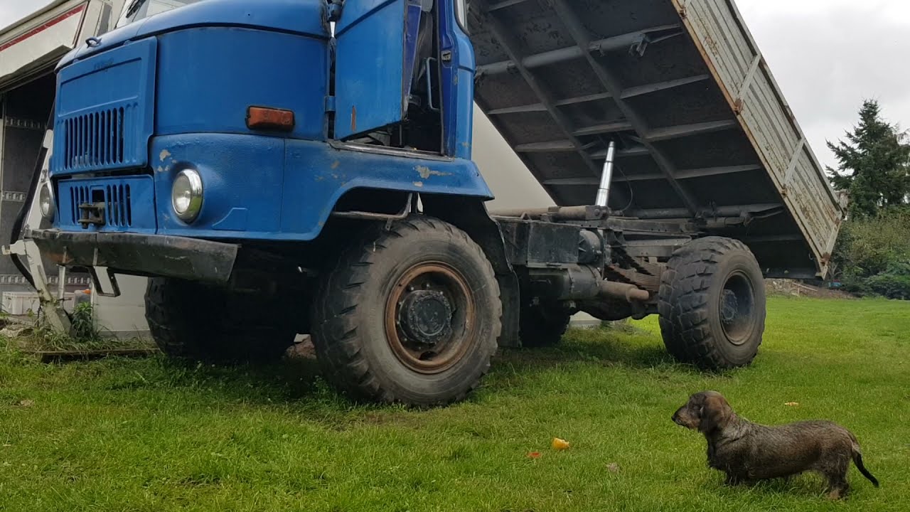 IFA L60 1218 4x4 Start und Kipper