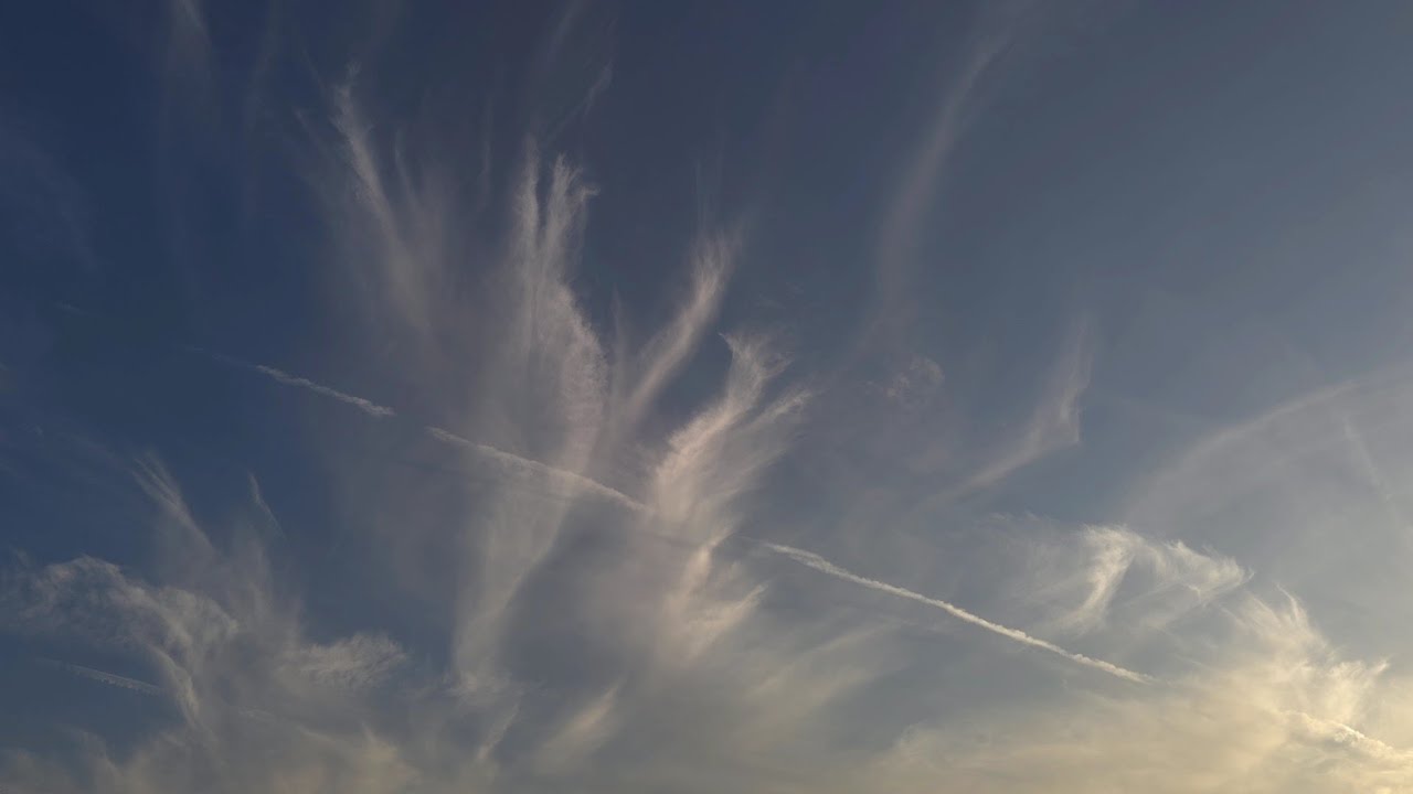 영동대교 아래에서, 뚝섬한강