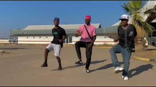 Wanitwa Mos X Nkosazana Daughter U0026 Nobuhle  Moyo Ogcwele Ft Harrycane   Dance Cover