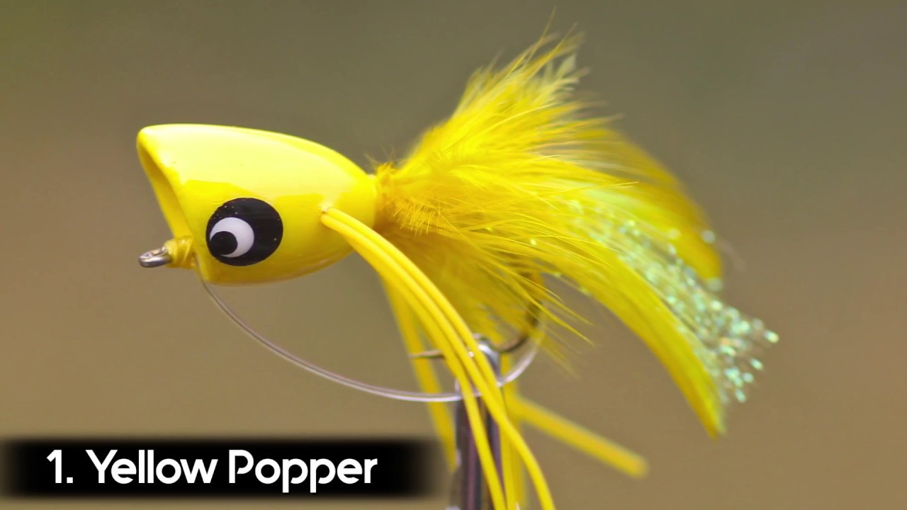 Here our are Top 5 Smallmouth Bass flies for Topwater Action