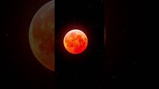 Celebrity Lunar eclipse timelapse Profile