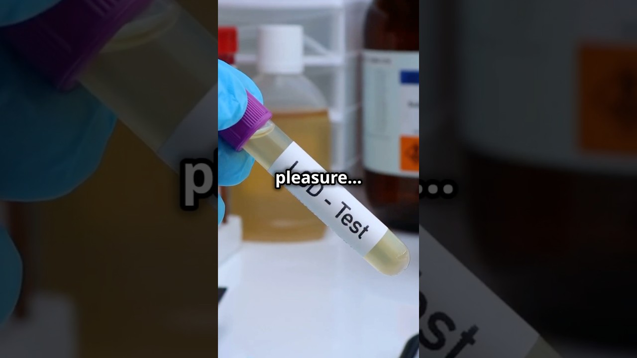 The CIA's Secret LSD Experiments: What Really Happened