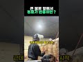 큰 불꽃 옆에서 동료가 반응하면?