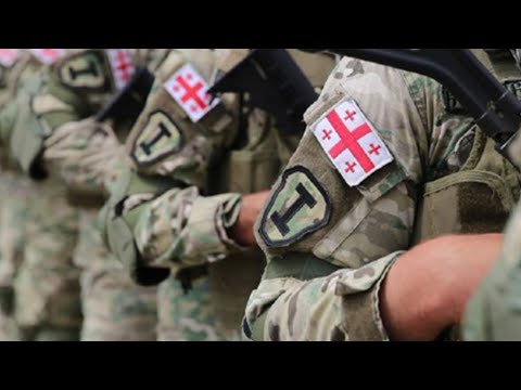 აშშ-ის შემდეგ ევროკავშირი | ქართული არმია EU-ს მშვიდობის ფონდიდან 30 მილიონს ვეღარ მიიღებს