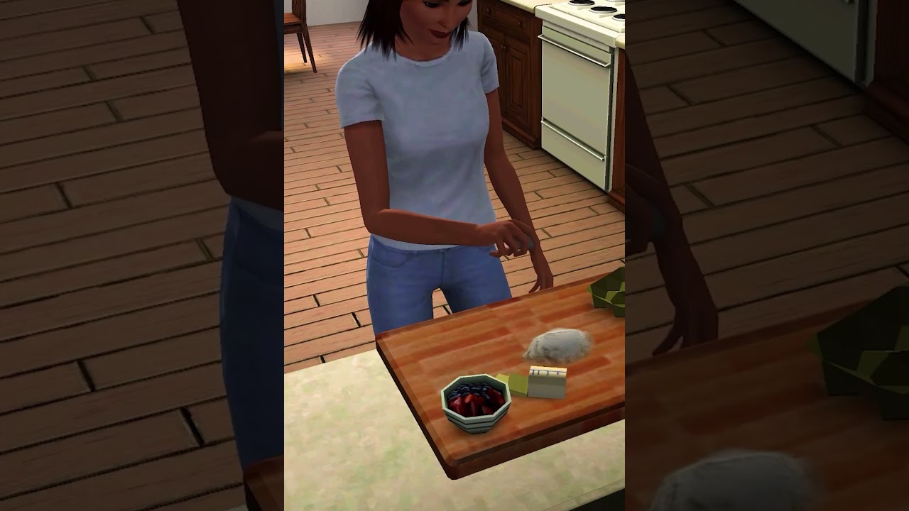 Sims 3 Cooking Detail