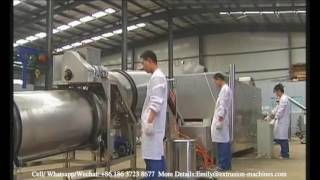 Advanced Low Price Core Filling Inflating Snacks Machinery Making Coconut Snack