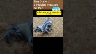 Blue Dragon La Micidiale Predatori Dei  Mari