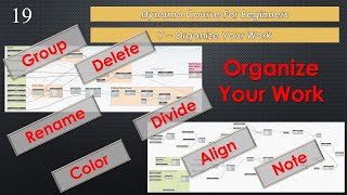 Organize Your Work in Dynamo