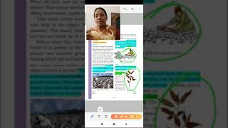 Cotton and jute plant fibres. Class -6