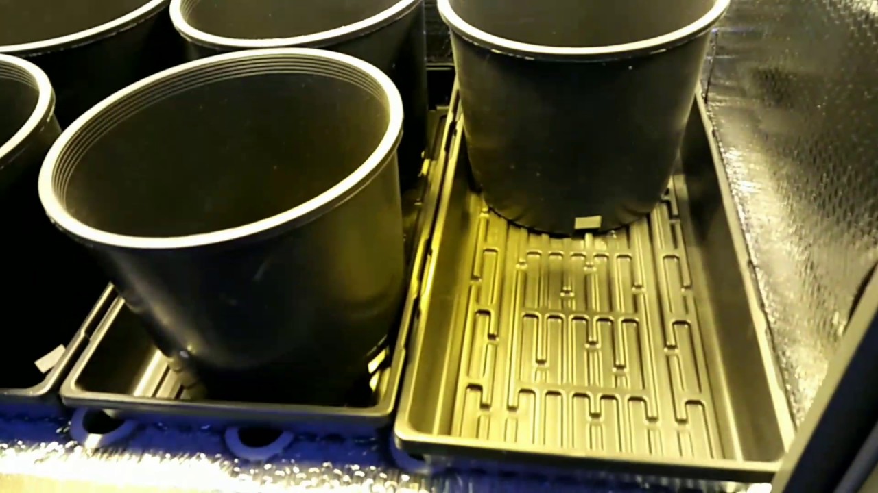 Earth Cab Pro 2x4 Hideaway Grow Cabinet with 600w HPS